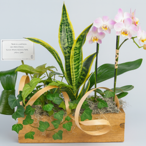 Panier de plantes avec orchidée