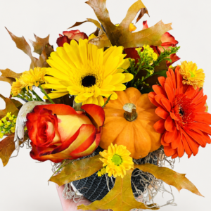Bouquet d’automne avec citrouille sur fond neutre