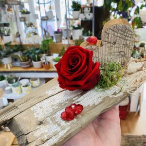 Eternal rose montage in wine glass