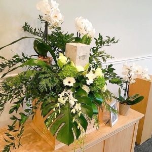 Coffin cushion with purple touch