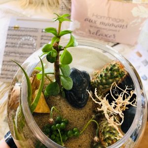 Terrarium and boule de verre