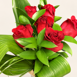 Bouquet de six roses rouges avec feuillage dans un vase sur fond neutre