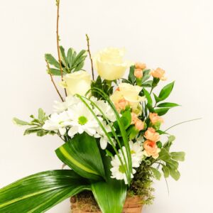 Corbeille A13 avec roses crème et pêche dans un panier sur fond ivoire, logo original Boutique Q4