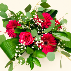 Bouquet fuchsia de gerberas et roses avec eucalyptus sur fond ivoire