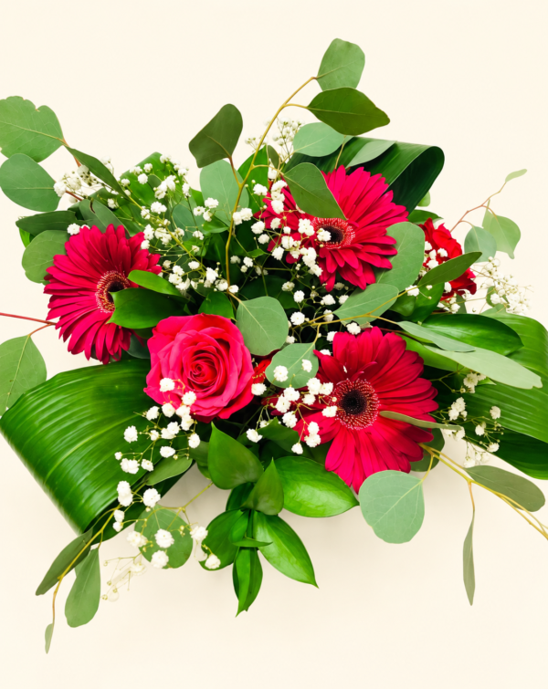 Bouquet fuchsia de gerberas et roses avec eucalyptus sur fond ivoire