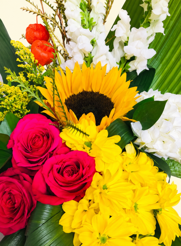 Bouquet coloré avec tournesol, roses fuchsia et fleurs jaunes et blanches sur fond ivoire