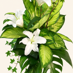 Montage de plantes et fleurs sur fond ivoire