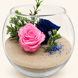 Montage rose et bleu avec 2 roses éternelles sur fond ivoire