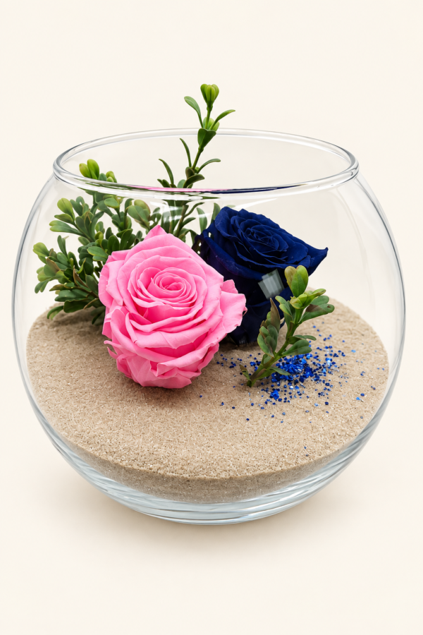 Montage rose et bleu avec 2 roses éternelles sur fond ivoire