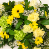 Coussin de cercueil le jaune, blanc et vert sur fond ivoire