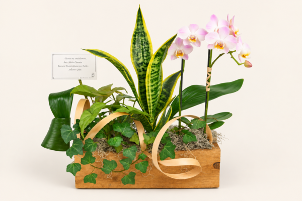 Panier de plantes avec orchidée sur fond ivoire