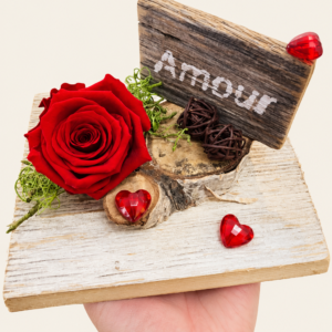 Montage éternelle amour sur fond ivoire