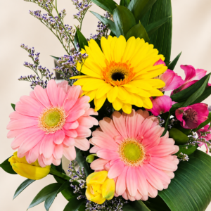 Bouquet coloré avec un gerbera jaune et deux gerberas roses sur fond crème pâle