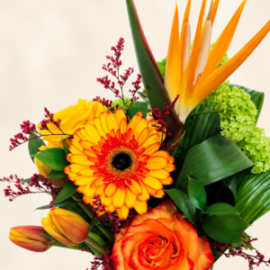 Bouquet coloré avec oiseau de paradis orange, gerbera jaune orangé et rose sur fond crème pâle