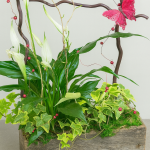 Corbeille de plantes avec papillon et décoration