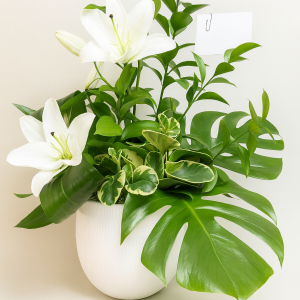 Corbeille plantes et lys blanc