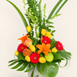 Corbeille de fleurs le super colorées sur fond ivoire