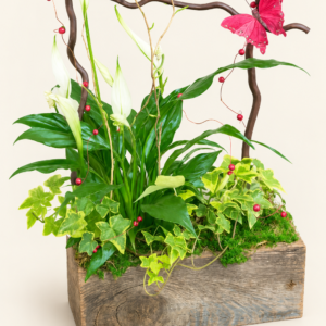 Corbeille de plantes avec papillon et décoration sur fond ivoire