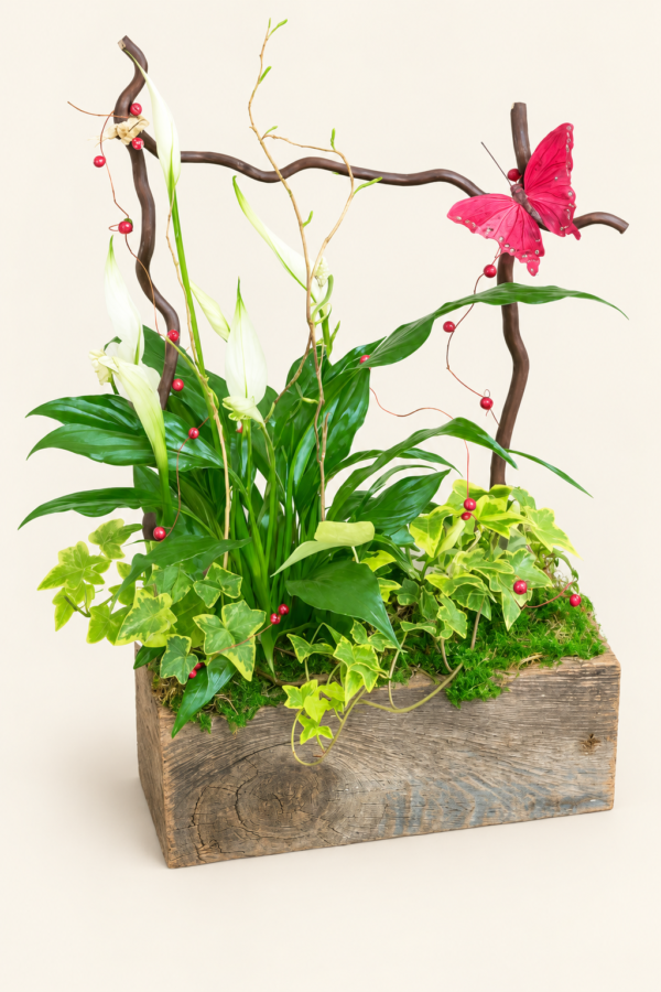 Corbeille de plantes avec papillon et décoration sur fond ivoire