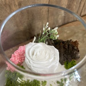 Corbeille, montage rose éternelle blanche
