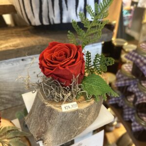 Montage de rose rouge éternelle sur bois