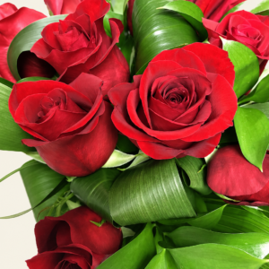 Bouquet classique de douze roses rouges et feuillage sur fond ivoire