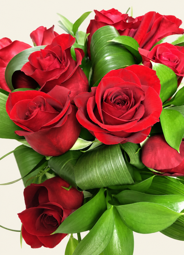 Bouquet classique de douze roses rouges et feuillage sur fond ivoire