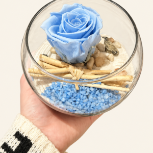 Montage de rose bleu éternelle sur fond ivoire