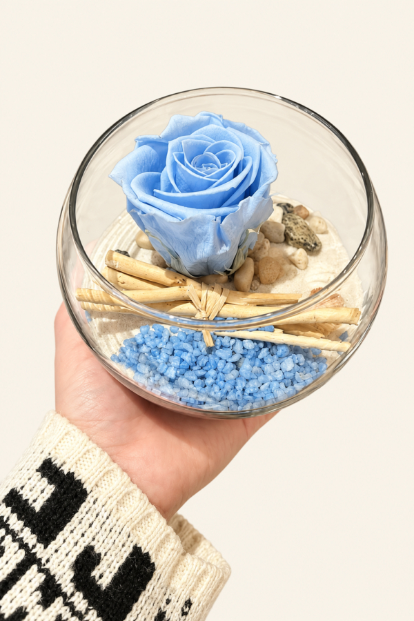 Montage de rose bleu éternelle sur fond ivoire