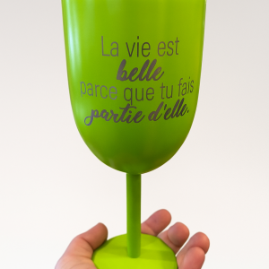 Verre à vin isotherme, la vie est belle