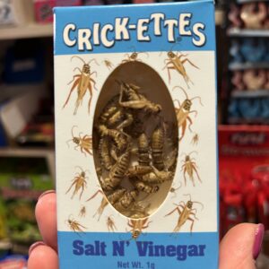 Crikettes - sel et vinaigre