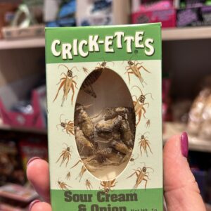 Crickettes - Crème sûr et oignon